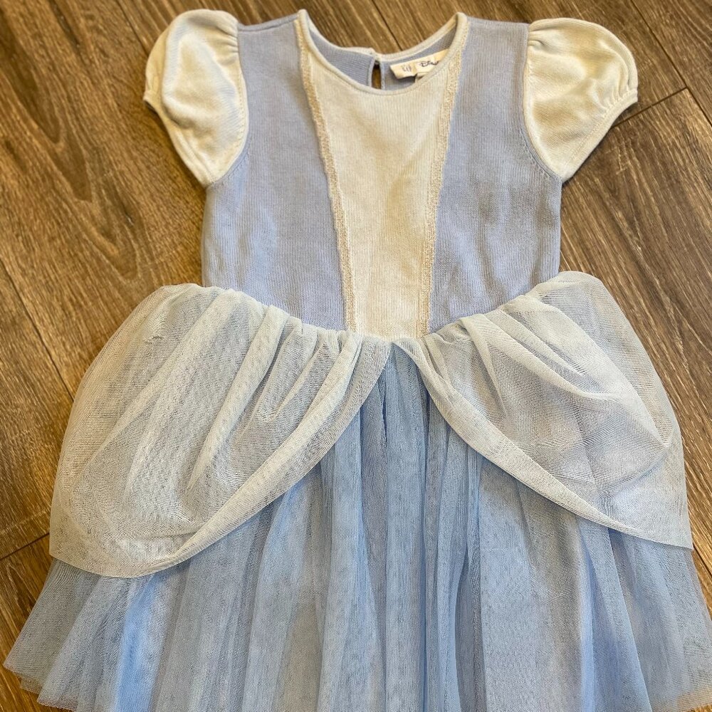 Disney Cinderella Tulle Dress